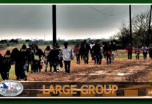 Large Numbers of Migrants Encountered