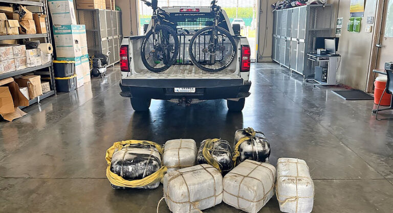 RGV Agents Seize $300K of Marijuana
