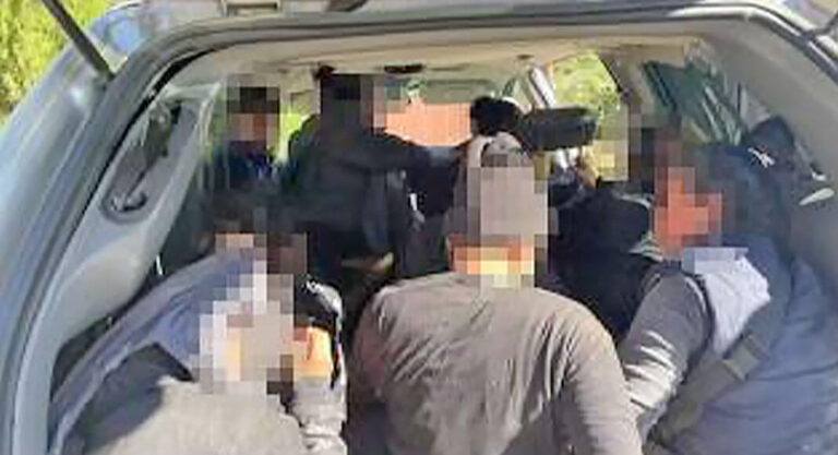 Agents Stop Human Smuggling Attempt in Subdivision