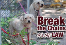 Texas law on tethering dogs goes into effect TODAY (1/18)