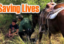 Seven rescues within 48 hours