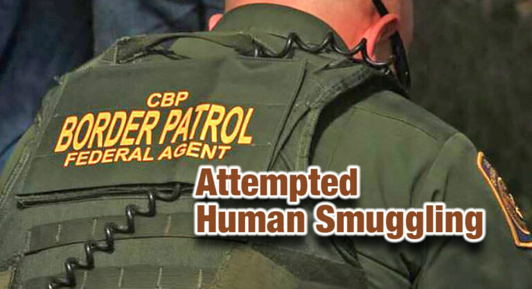 RGV Agents Disrupt Four Smuggling Attempts