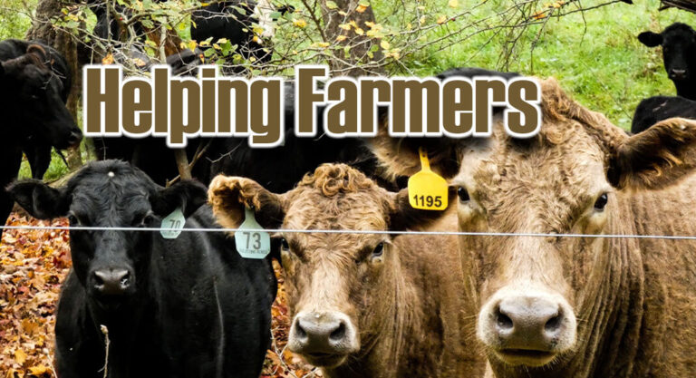 Online Tool For Farmers, Ranchers to Report Anticompetitive Practices