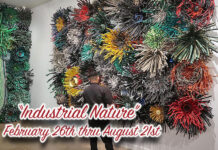 Industrial Nature by Michelle Stitzlein at IMAS