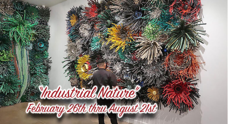 Industrial Nature by Michelle Stitzlein at IMAS 