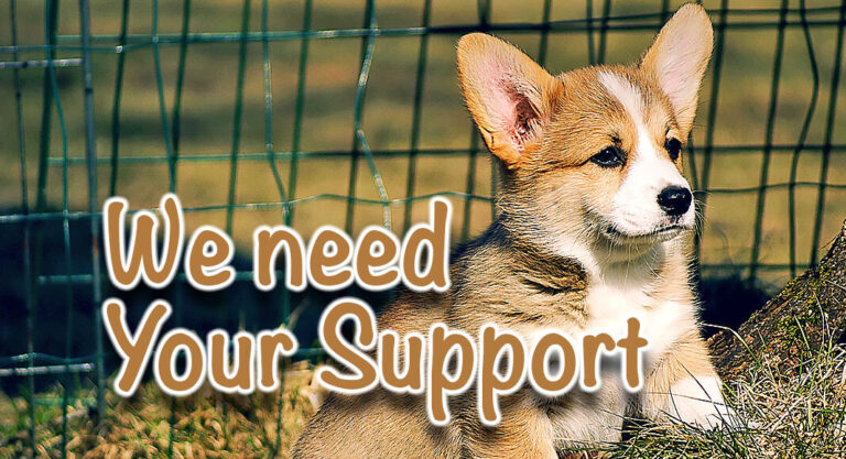 Help Us, Help Them