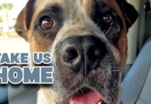 Love, Lost and Forgotten