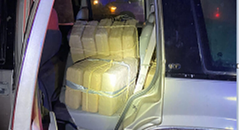 Over $360K Worth of Marijuana Seized 
