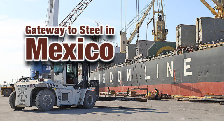 Port of Brownsville; Diversified Success