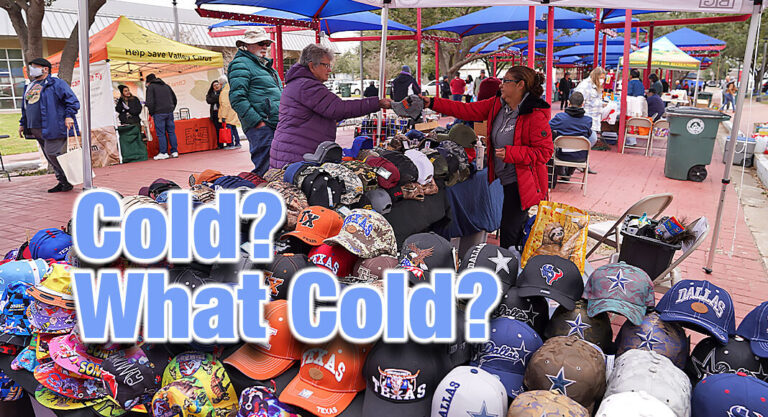 Winter Texan Fiesta