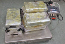 Officers Seize $587K Worth of NarcoticsÂ