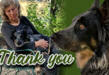 Palm Valley Animal Society Saving Lives