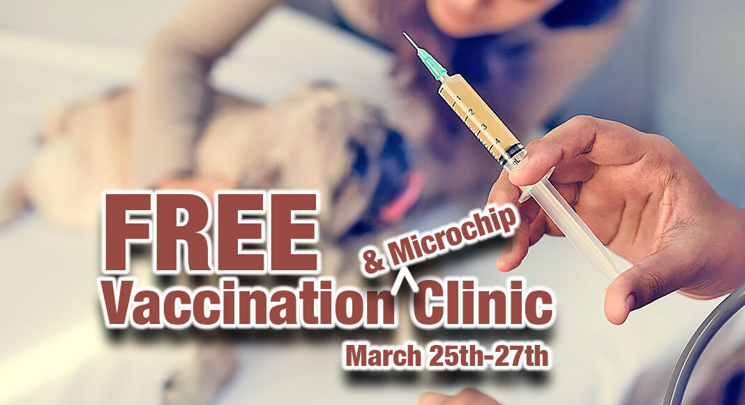 There will be a three-day, no cost, vaccine and microchip event at Edinburg Municipal Park, 714 S Raul Longoria Road. Image for illustration purposes
