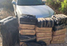 Over $450K Worth of Narcotics Seized by Border Patrol