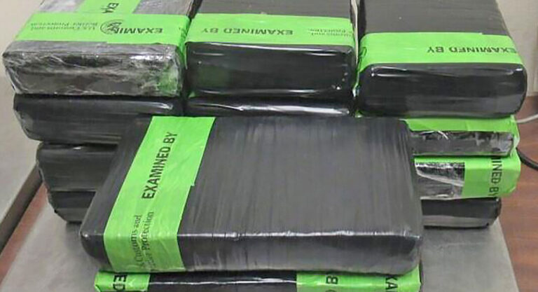 CBP Officers Seize over $350K in Cocaine 
