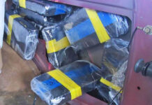 CBP Officers Seize 47 Pounds of CocaineĀ