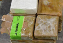 Brownsville CBP Officers Seize $703K Worth of Narcotics
