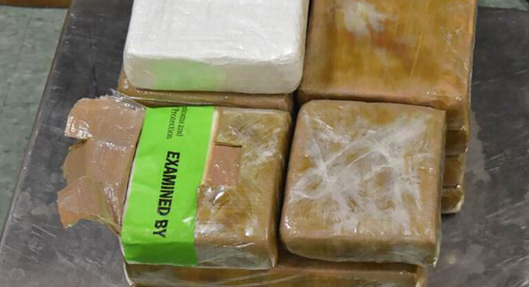 Brownsville CBP Officers Seize $703K Worth of Narcotics
