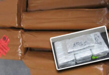 CBP Officers Seize 123 Pounds of DrugsĀ