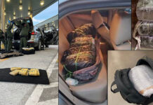 Nearly $1.1M Worth of Narcotics Seized Over the Weekend