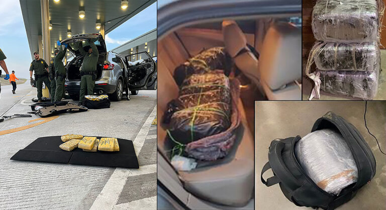 Nearly $1.1M Worth of Narcotics Seized Over the Weekend