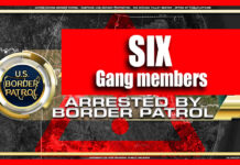 Agents arrest six gang members in three days