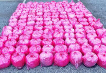 CBP Officers Seize $35.2 Million in Methamphetamine