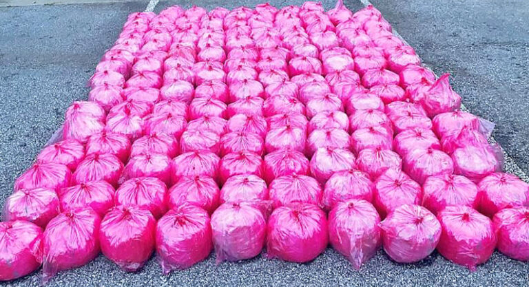 CBP Officers Seize $35.2 Million in Methamphetamine 