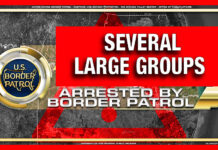 RGV Agents Encounter Four Large Groups Within Several Days