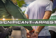 Multiple Criminal Migrants Arrested