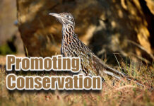 H-E-B Partners with Texas Parks and Wildlife Foundation to Enhance Conservation in Texas