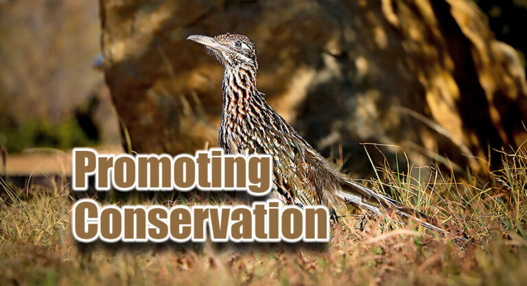 H-E-B Partners with Texas Parks and Wildlife Foundation to Enhance Conservation in Texas