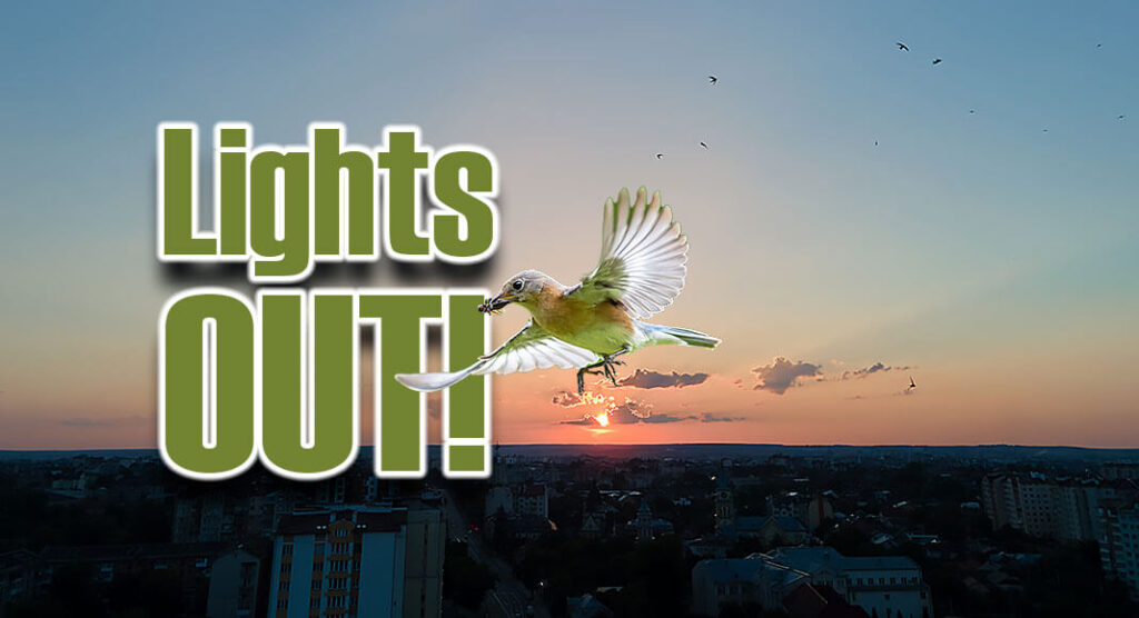‘Lights Out Texas’ Initiative for Spring Bird Migration Texas Border