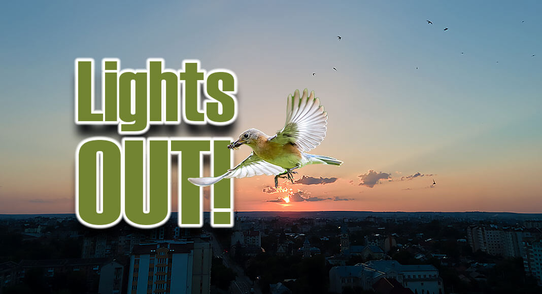 The May issue of Texas Parks & Wildlife magazine, available on newsstands now, highlights the Lights Out Texas campaign, which aims to create a safer spring migration for birds through cities across the state. Lights both attract and disorient the birds.