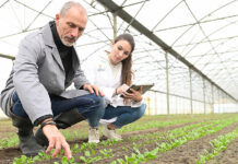 Launching Agriculture and Agribusiness Programs in fall 2022