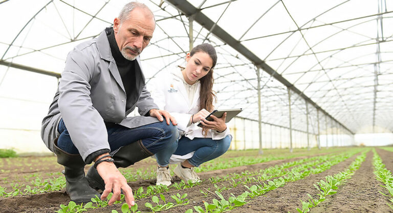 Launching Agriculture and Agribusiness Programs in fall 2022