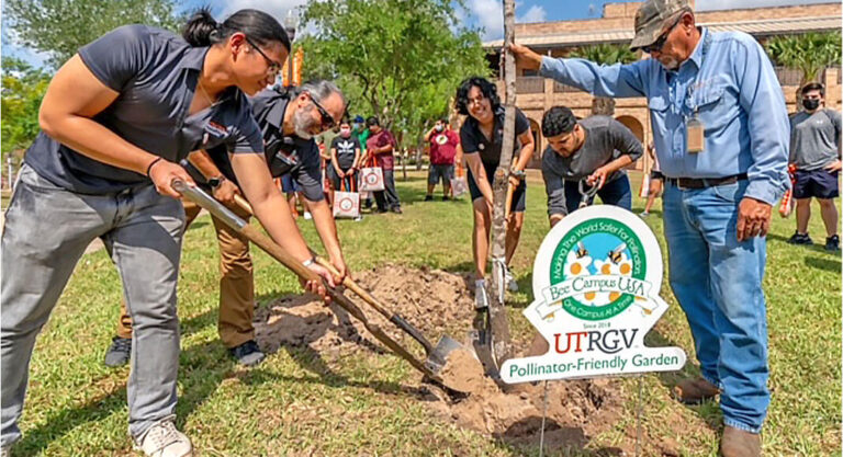 SEEMS gets Brownsville Campus buzzing about pollinators