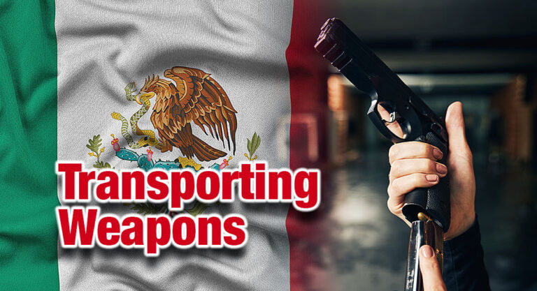 McAllen woman pleads guilty to exporting pistols to Mexico 