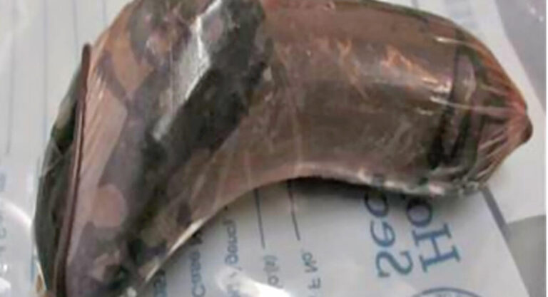 Officers Seize Narcotics and Arrest 25 Fugitives