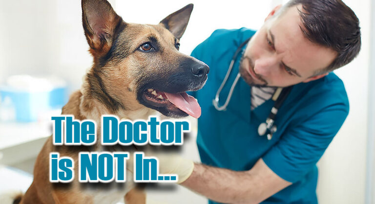 Critical Capacity with Little Access To Vet Support