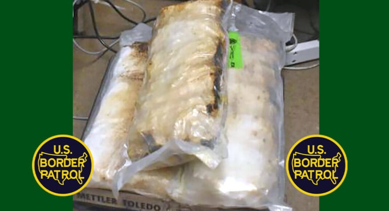 Brownsville CBP Officers Seize $595K in Methamphetamine 