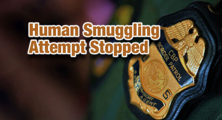 Laredo Sector Border Patrol halted a human smuggling attempt 