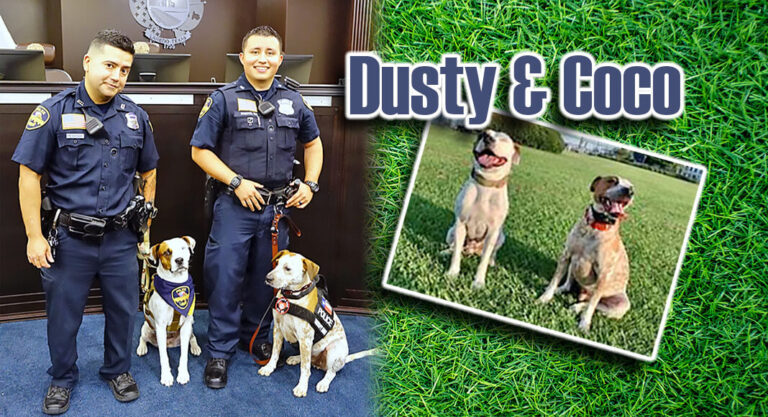 Dusty & Coco, Laredo’s 1st Certified Police Therapy Dogs