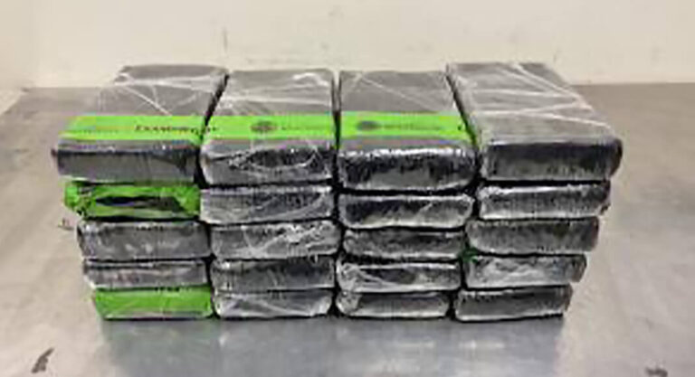 CBP Officers Seize over $300K in Cocaine at the Hidalgo International Bridge