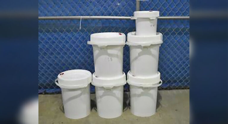 Brownsville CBP Officers Seize $3.6 Million in Methamphetamine 
