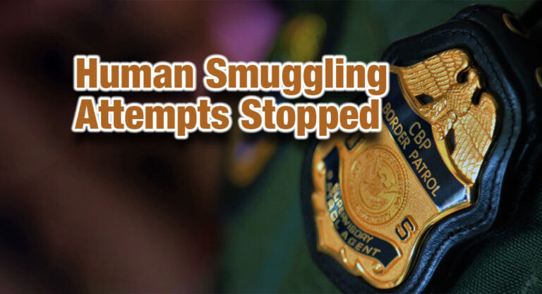 Migrant Smuggling Events Disrupted Throughout the RGV