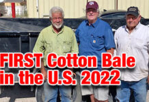 First Bale of Cotton in the Nation