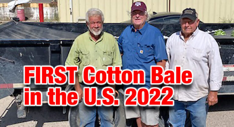 First Bale of Cotton in the Nation
