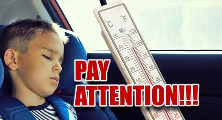 Preventing Hot Car Deaths this Summer