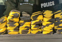 Operation Lone Star Seizing Record Amounts of Fentanyl